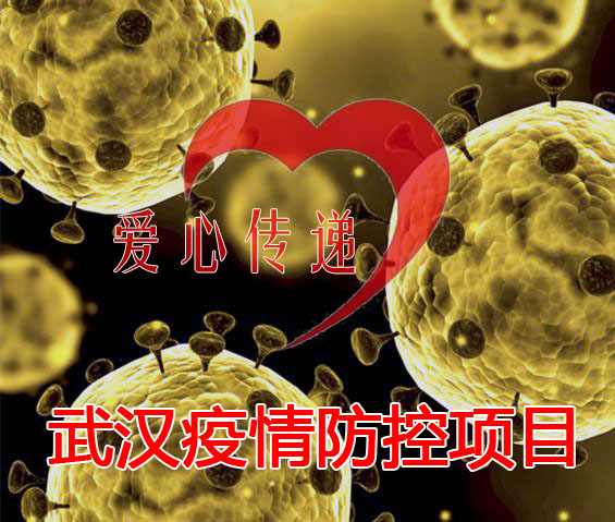 武汉疫情防控项目